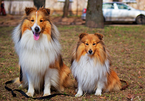 Сексуалды сәби трусиканы шешіп, кискасын саусақтарымен сипады